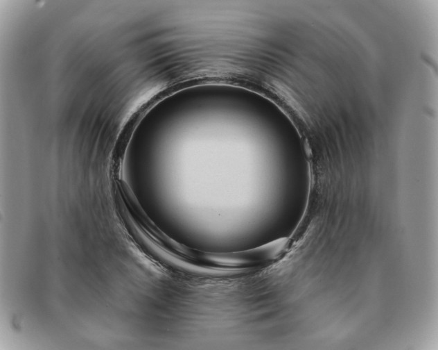 X0000091311026200708171411