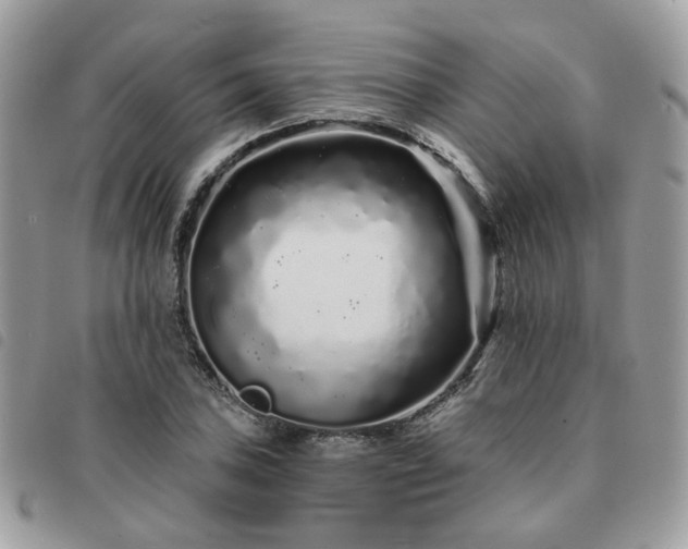 X0000091311027200708171411