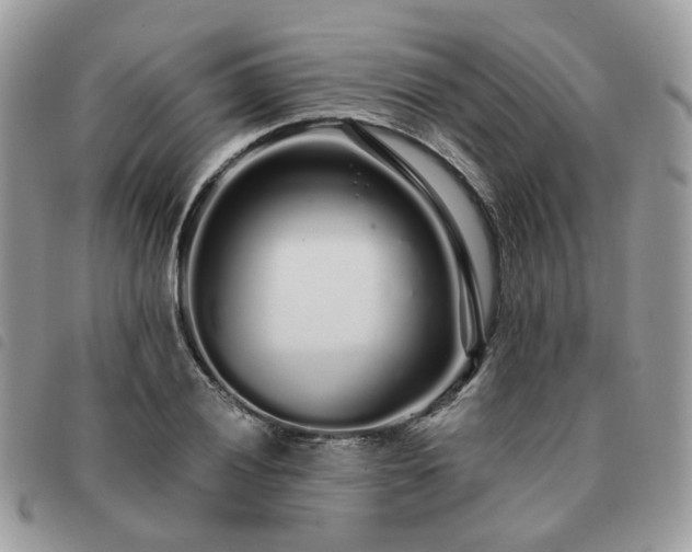 X0000091311028200708171411