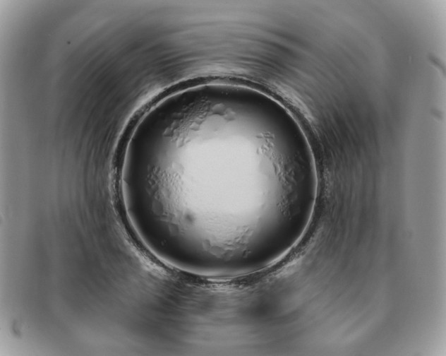 X0000091311029200708171411