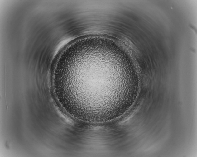 X0000091311030200708171411