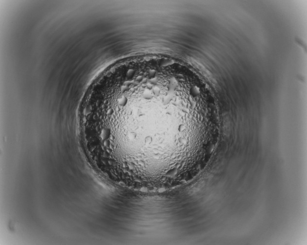 X0000091311031200708171411