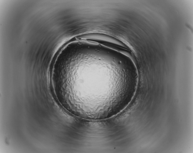 X0000091311032200708171411