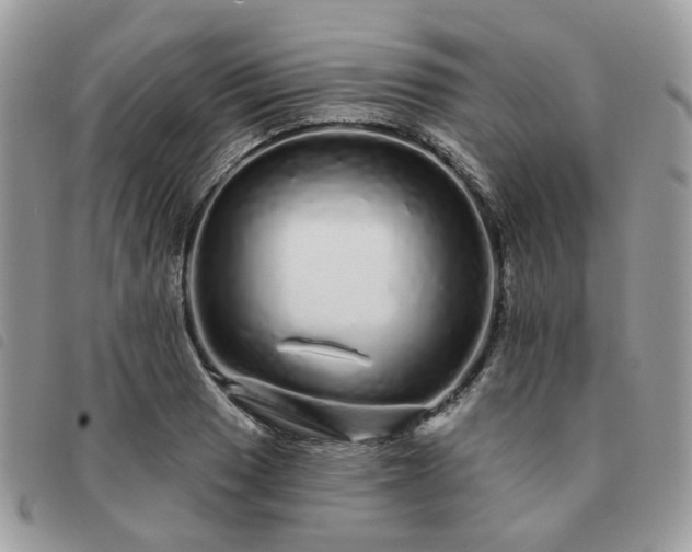 X0000091311033200708171411