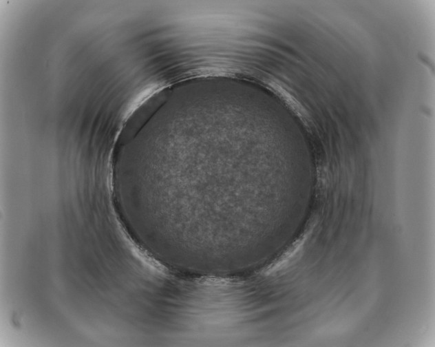 X0000091311034200708171411