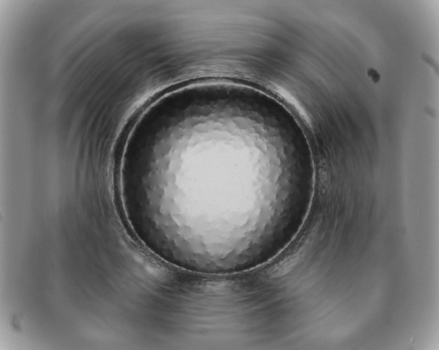 X0000091311035200708171411