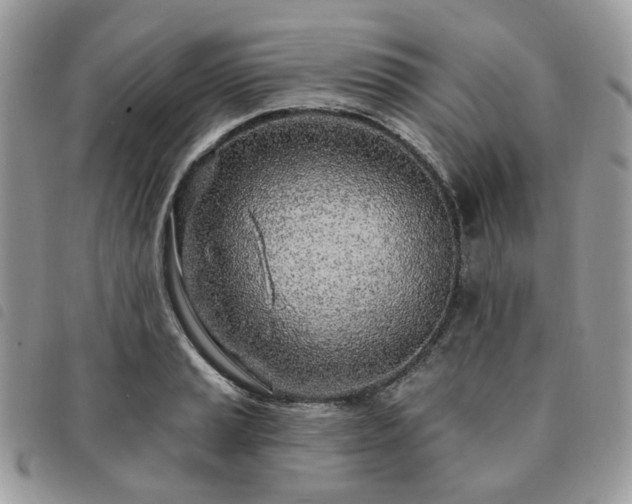 X0000091311037200708171411