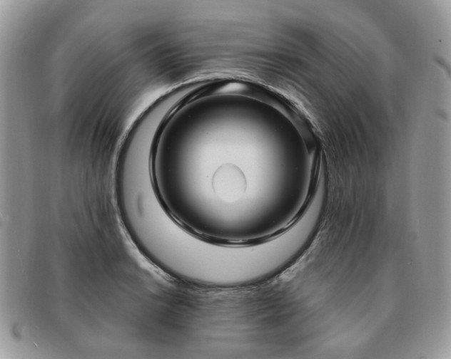 X0000091311038200708171411