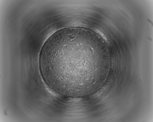 X0000091311039200708171411