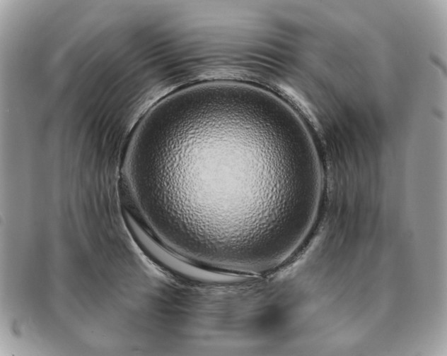 X0000091311041200708171411