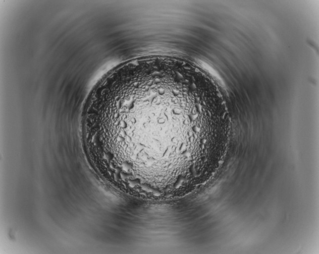 X0000091311043200708171411