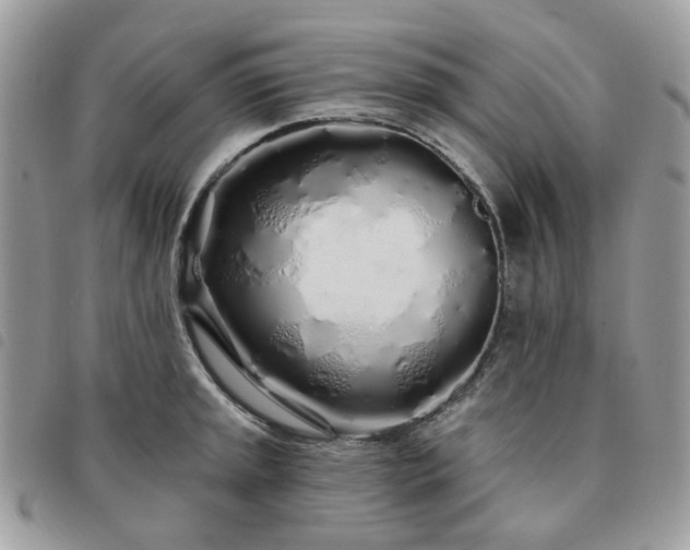 X0000091311045200708171411