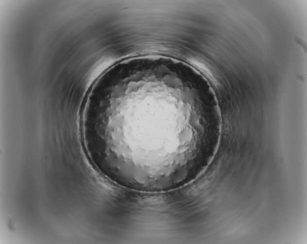 X0000091311047200708171411