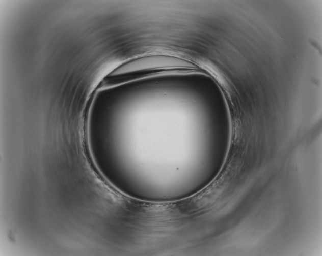 X0000091311048200708171411