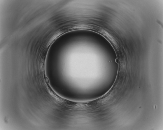 X0000091311049200708171411