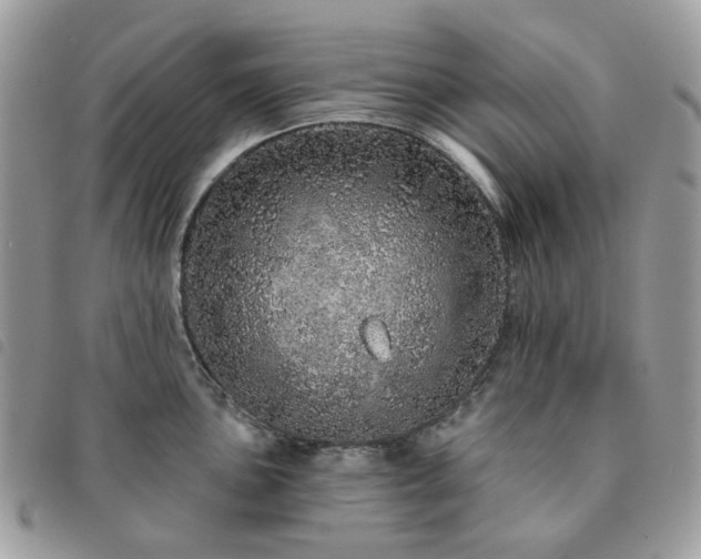 X0000091311051200708171411