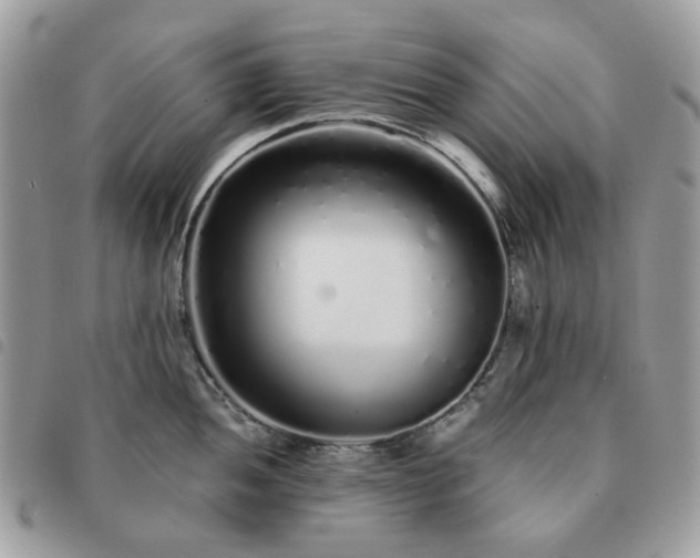 X0000091311052200708171411