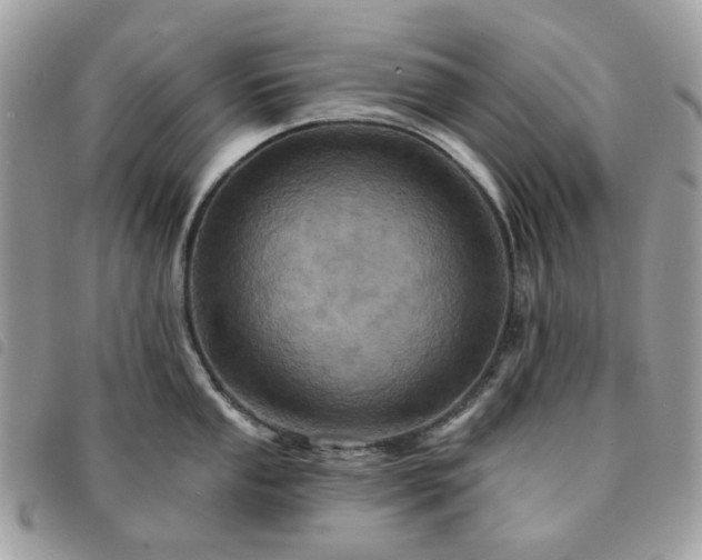 X0000091311053200708171411