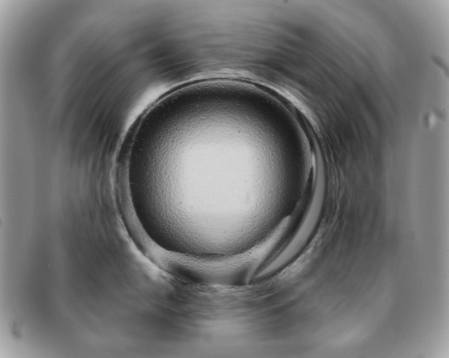 X0000091311054200708171411