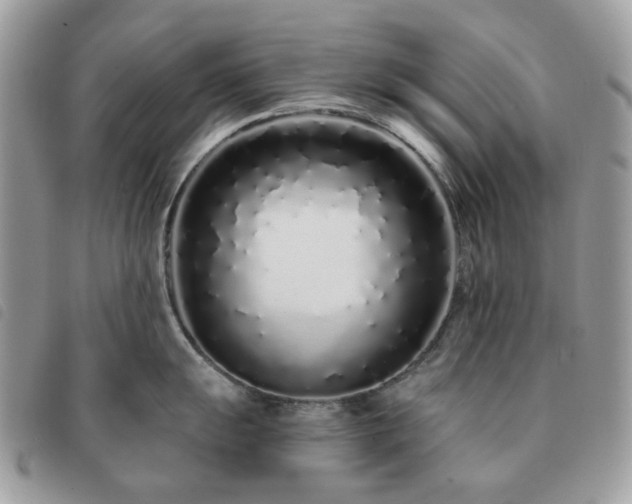 X0000091311055200708171411