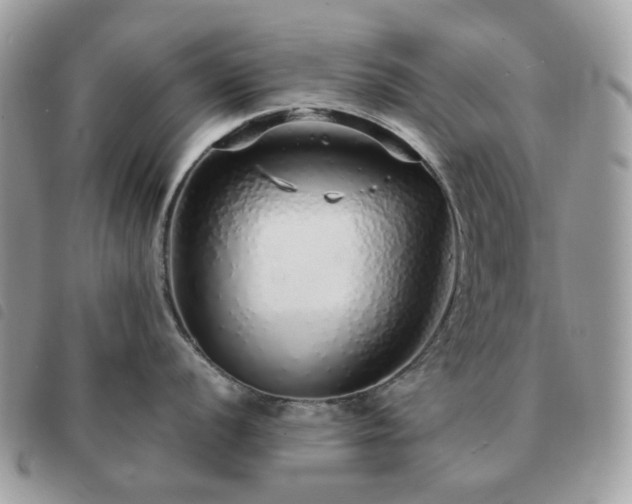 X0000091311056200708171411