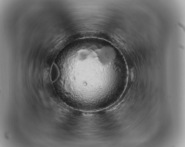 X0000091311059200708171410