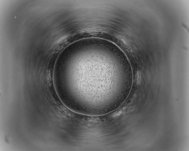 X0000091311062200708171410