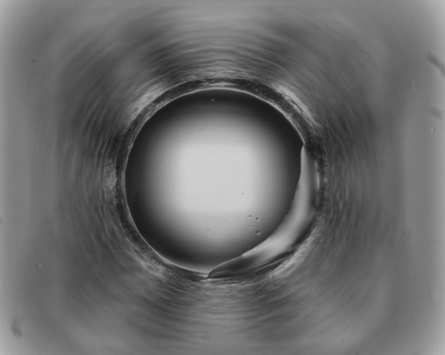 X0000091311065200708171410