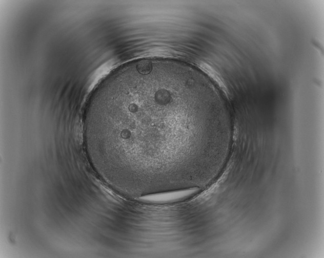 X0000091311067200708171410