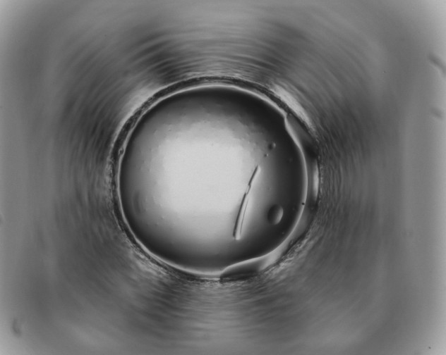 X0000091311068200708171410