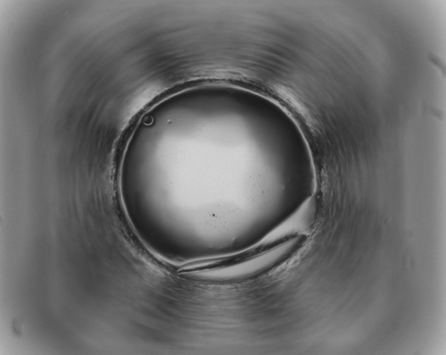 X0000091311071200708171410