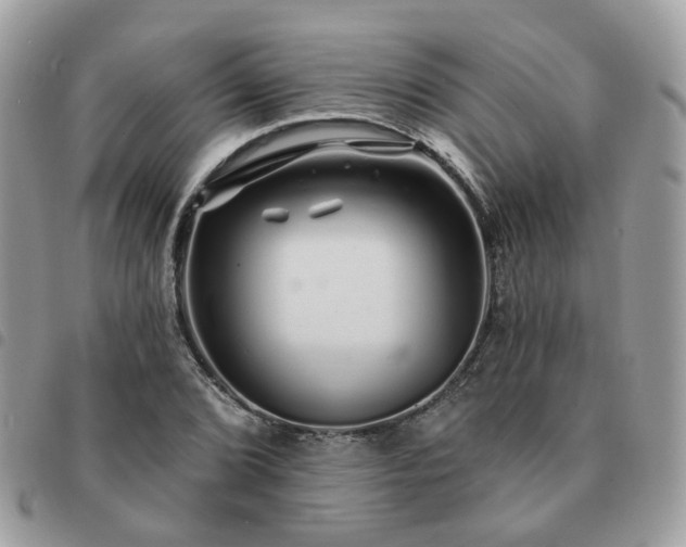 X0000091311072200708171410