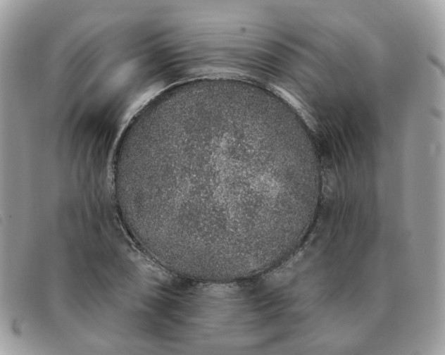 X0000091311074200708171410