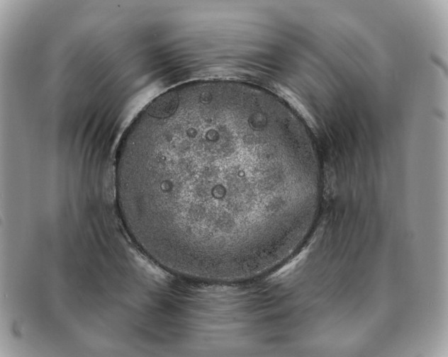 X0000091311075200708171410