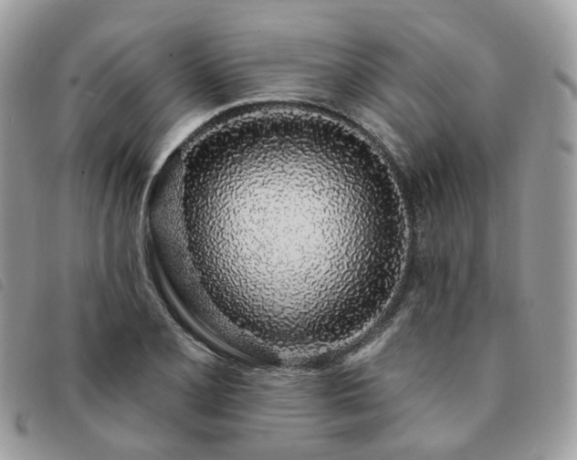 X0000091311077200708171410