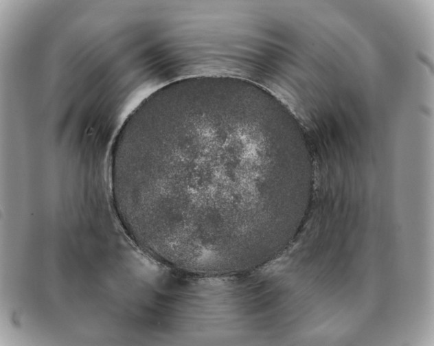 X0000091311078200708171410