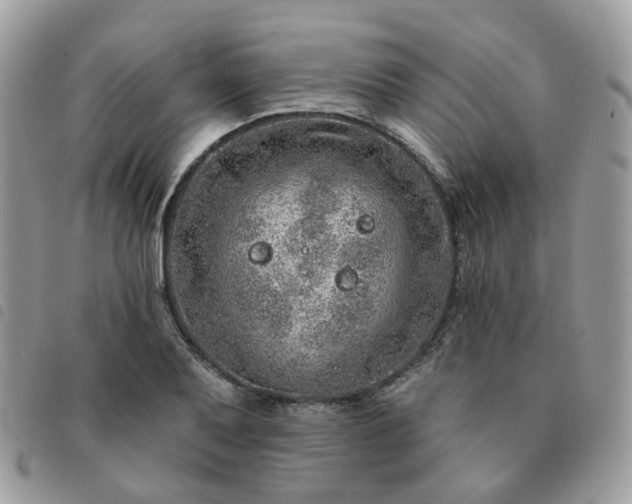 X0000091311079200708171410