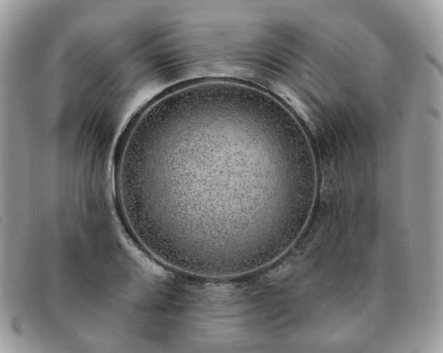 X0000091311080200708171410