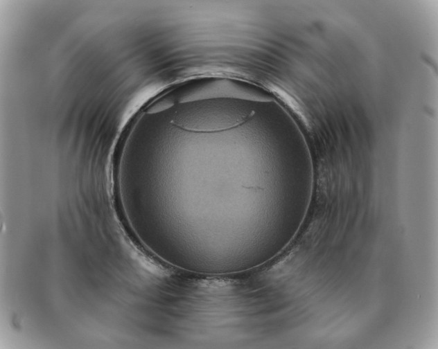 X0000091311082200708171410