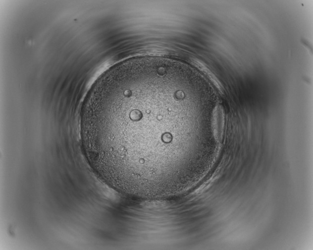 X0000091311083200708171410