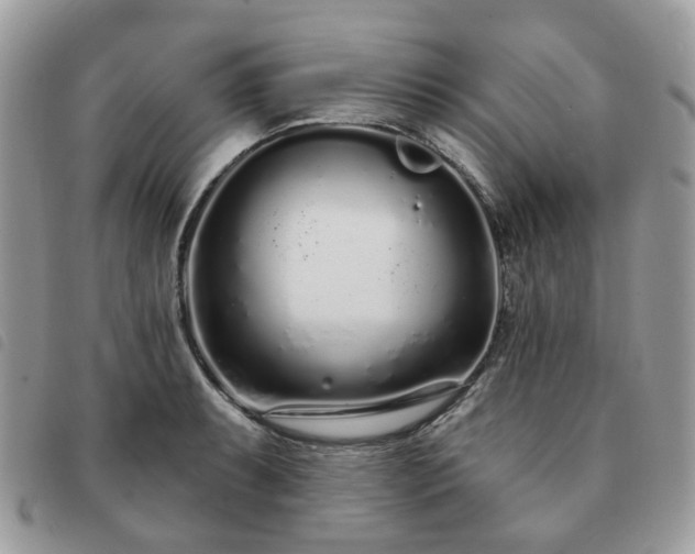 X0000091311087200708171410