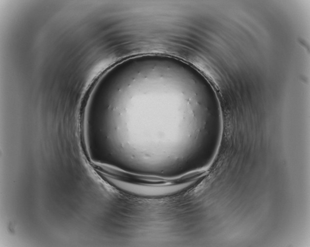 X0000091311088200708171410