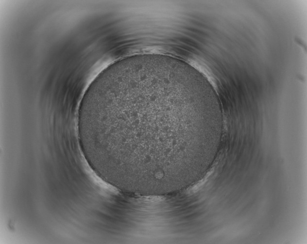 X0000091311090200708171410