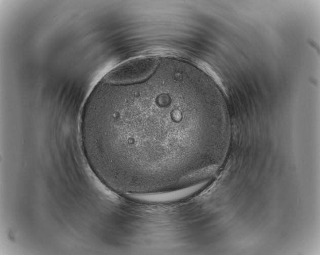 X0000091311091200708171410