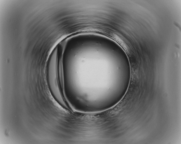 X0000091311092200708171410