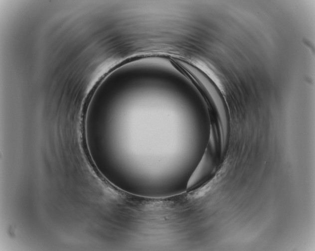 X0000091311093200708171410