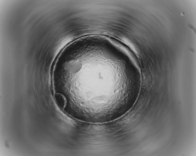 X0000091311095200708171410