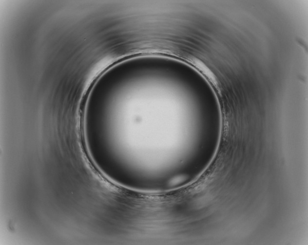 X0000091311096200708171410