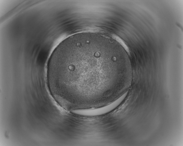 X0000091311099200708171410