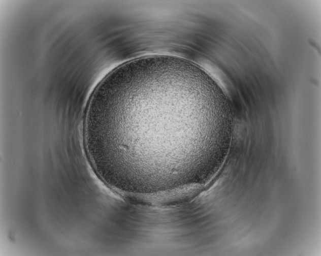 X0000091311100200708171410